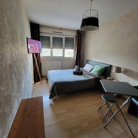 Pour Deplacement 3 Chambres Échirolles Buitenkant foto